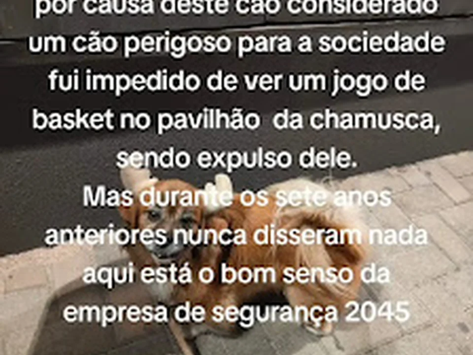 2045 - Empresa De Segurança, S.A.
