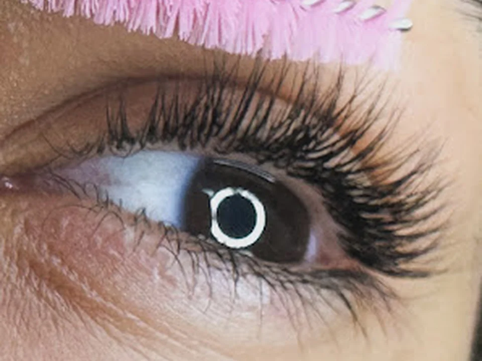 Atelier Lane Carvalho – Lash&Brow
