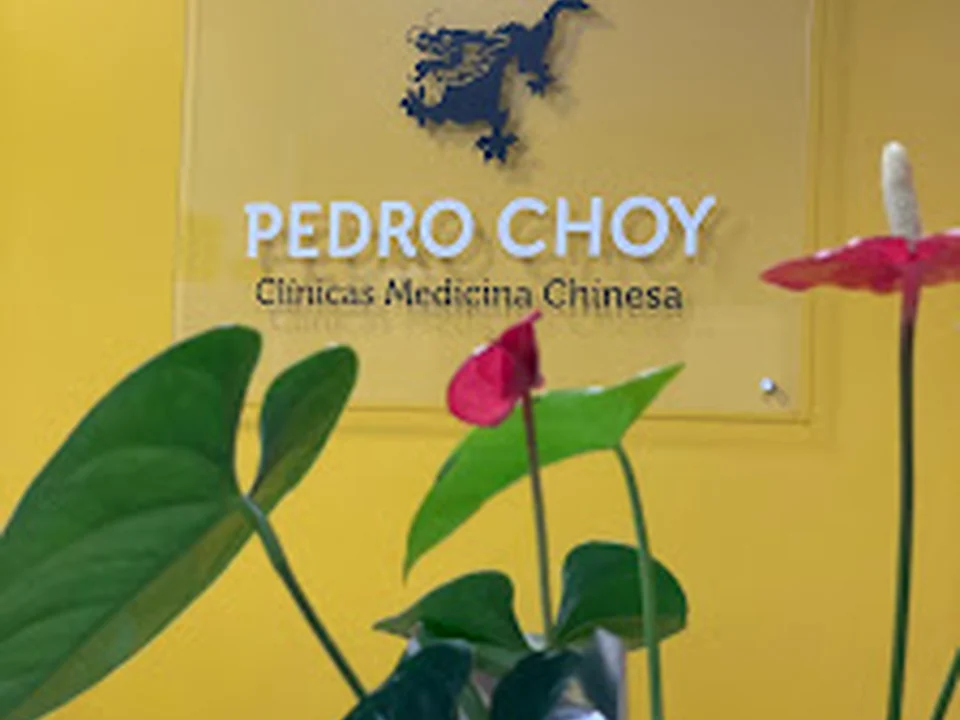 Clínicas Pedro Choy - Lisboa (Imaviz) - Medicina Tradicional Chinesa - Acupuntura
