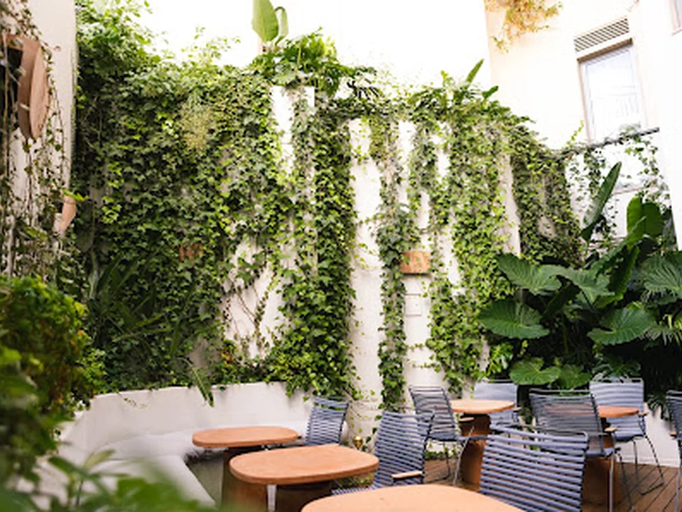 Janvier Plants & Design