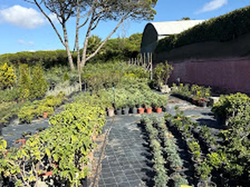 Jardins Serra Mar