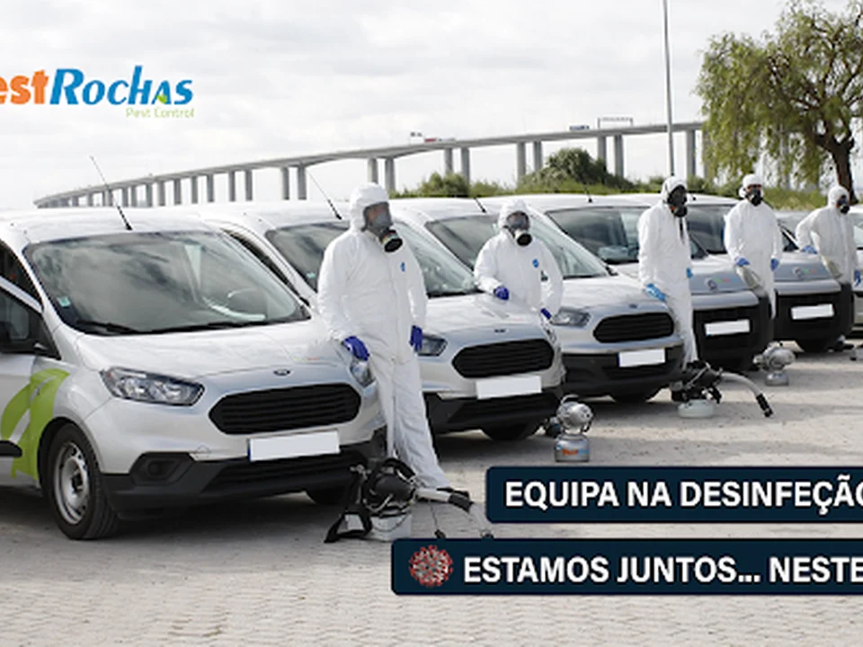 Pestrochas- Controlo de Pragas, Desinfestação e Insecto-Caçadores Lda.
