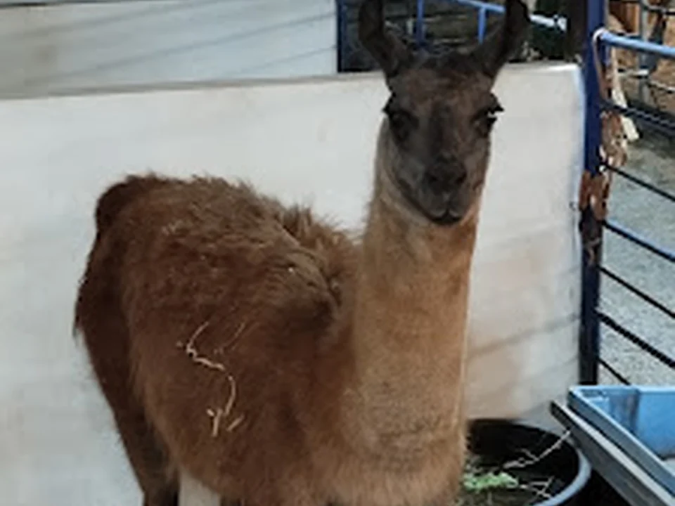 Quinta Dos Bichos