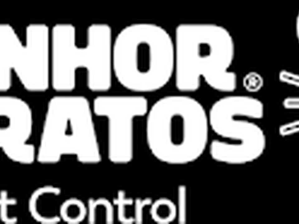 Senhor dos Ratos Lda.