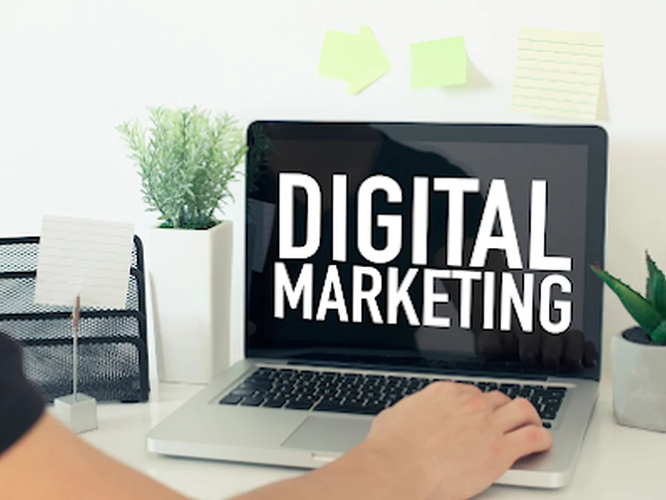 Trivial Digital | Website Design, Development & SEO Company