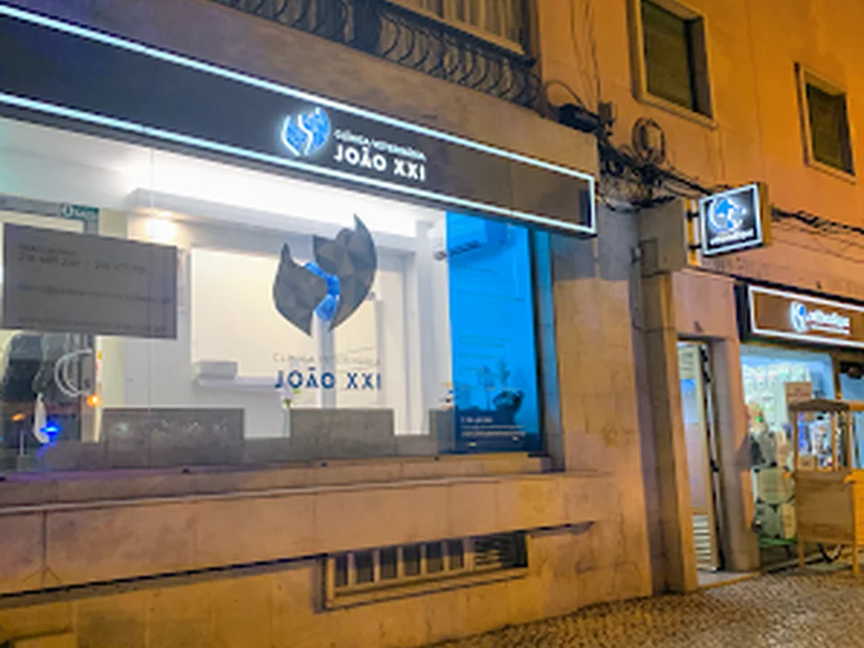 Clínica Veterinária João XXI, Lisboa