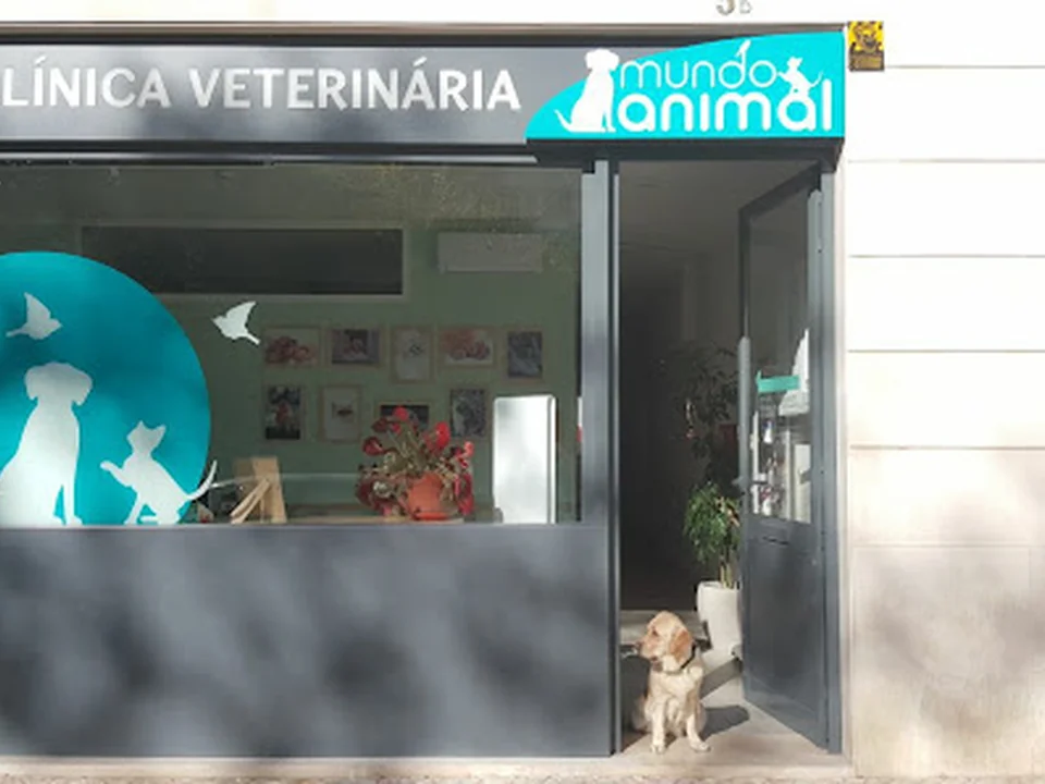 Clinica Veterinaria Mundo Animal, Lisboa