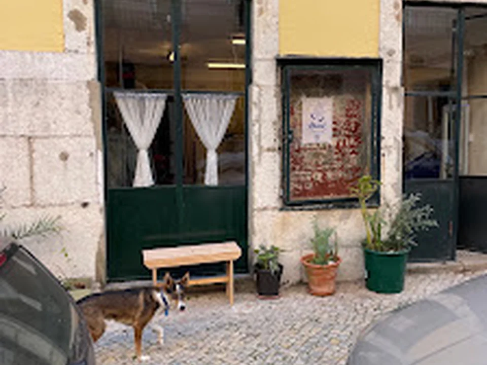 Third Thrift Store, Lisboa