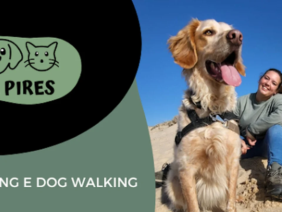 Pets With Rita Pires, Lisboa