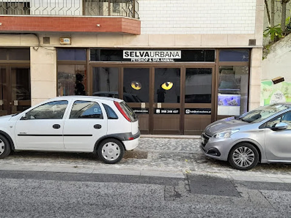Selva Urbana Pet Shop Campolide, Lisboa