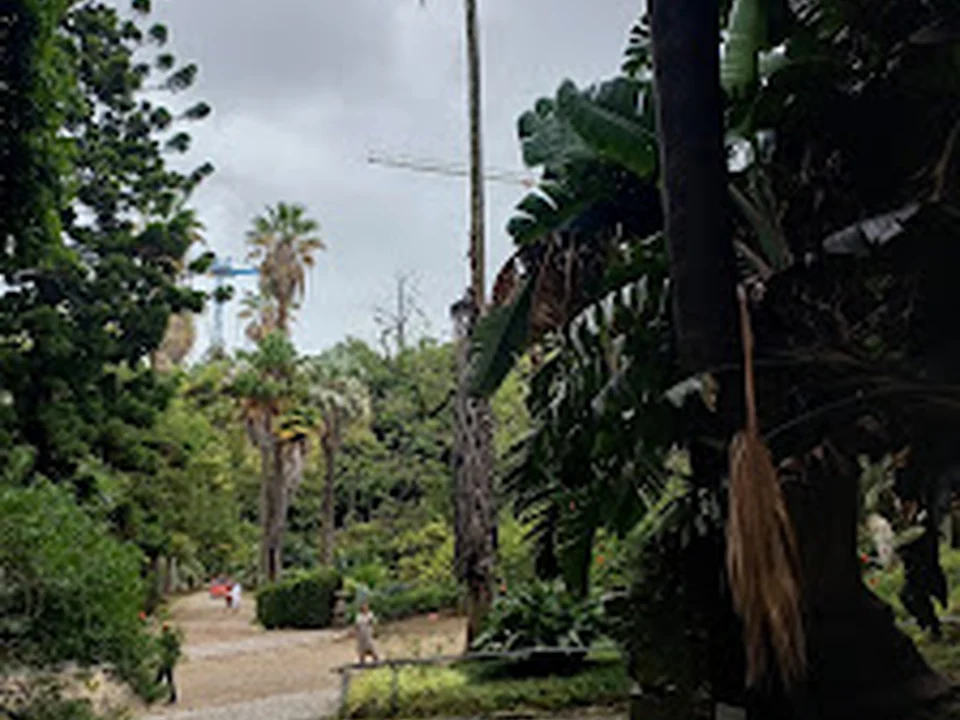 Jardim Botânico de Lisboa