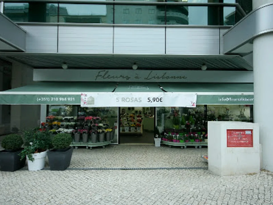 Fleurs à Lisbonne, Lisboa