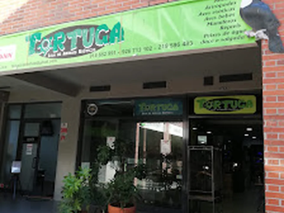 Tortuga, Lisboa