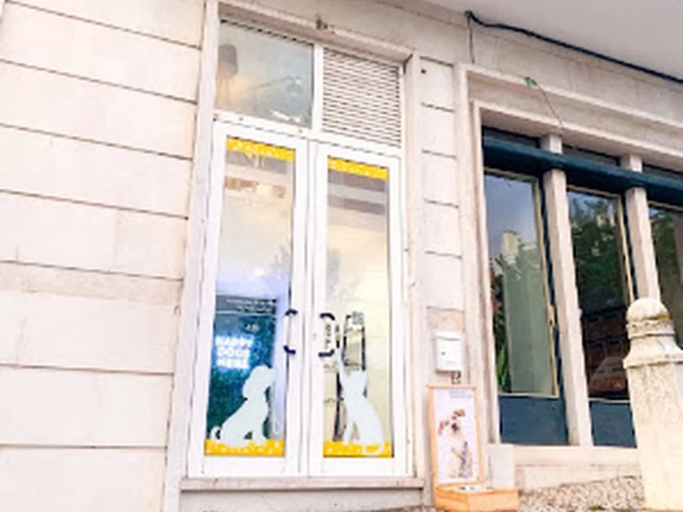 Malü Pet Wear, Lisboa