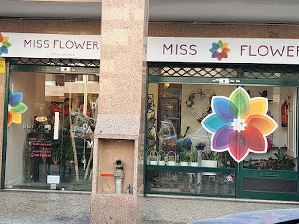 Miss Flower, Lisboa