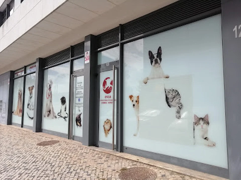 CVLS, Lisboa