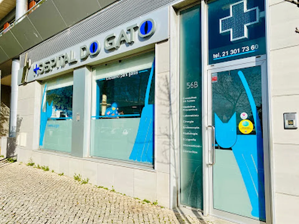 Hospital do Gato, Lisboa