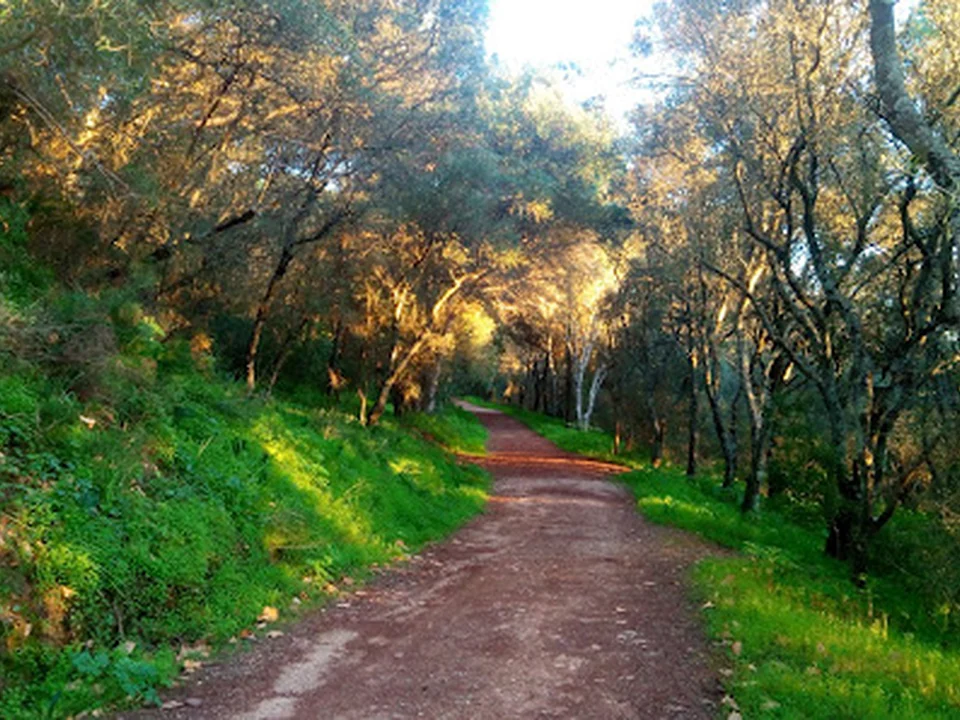 Percurso dos Moinhos do Mocho (Verde), Lisboa