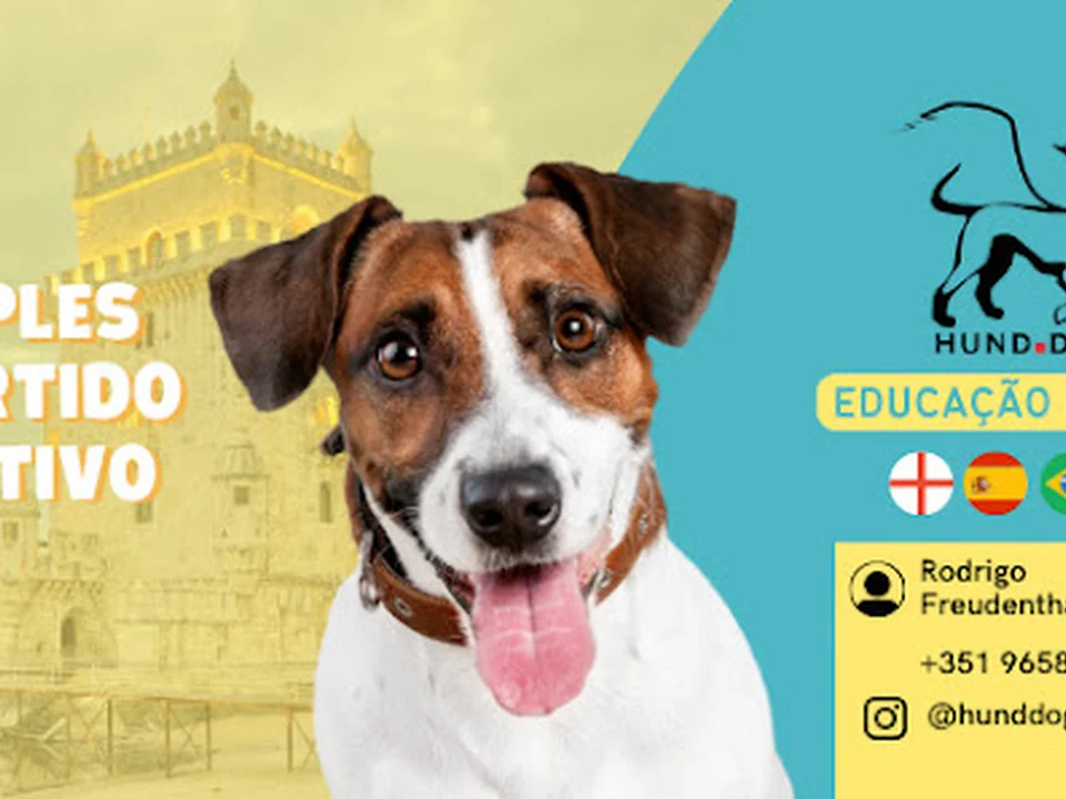 Hund Dog - Treinador de Cães em Lisboa