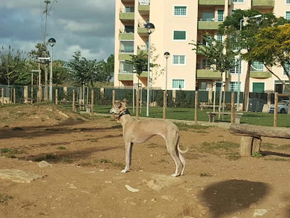 Parque Canino de São Pedro, Lisboa