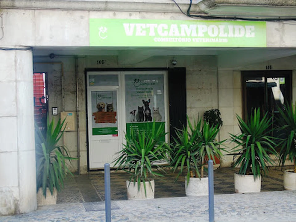 VetCampolide, Lisboa