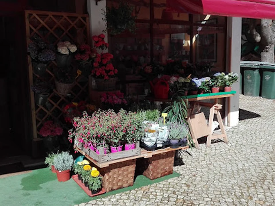 Jardim de Telheiras, Lisboa
