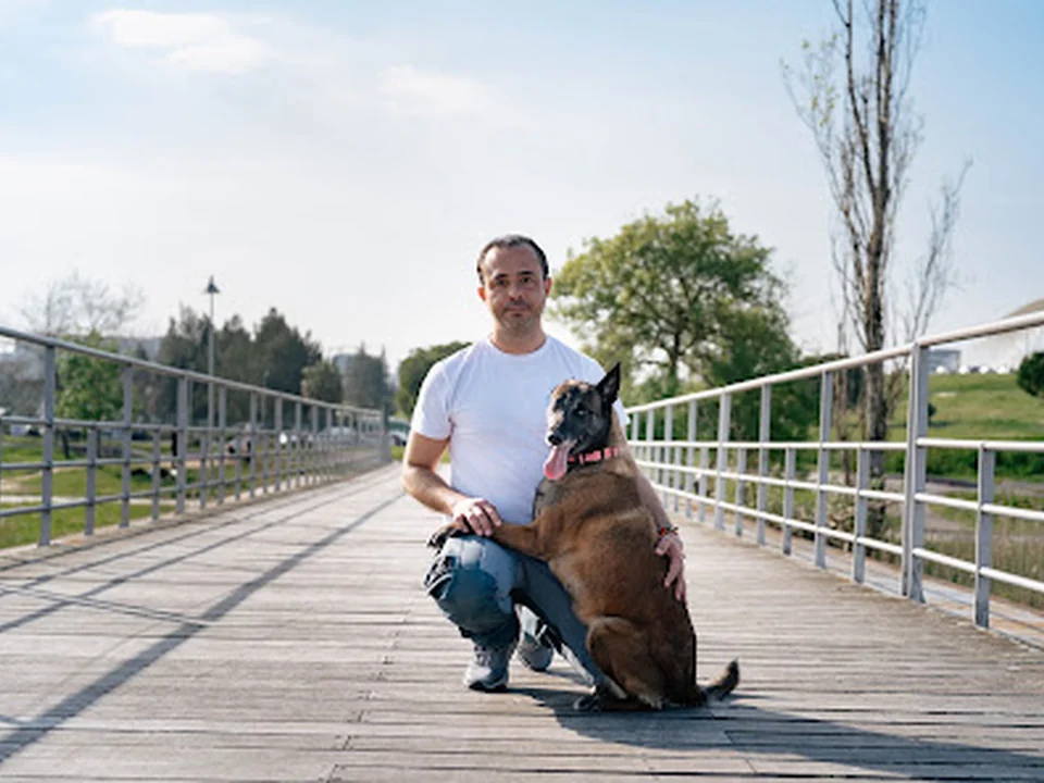 TopDog - Hotel e Centro Canino, Lisboa