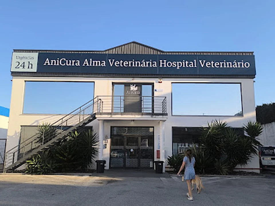 AniCura Alma Veterinária Hospital Veterinário | Urgências 24h, Lisboa