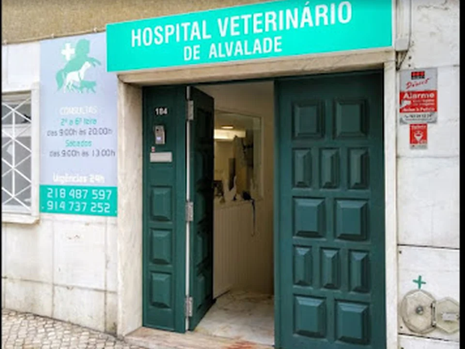 Clínica Veterinária de Alvalade, Lisboa