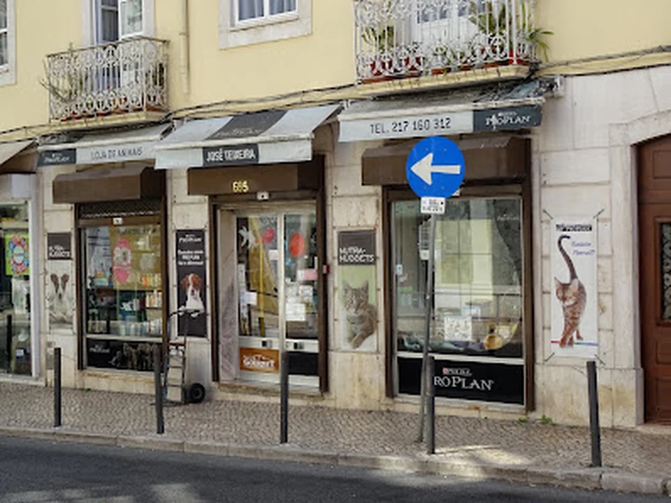 José Teixeira & C, Lisboa