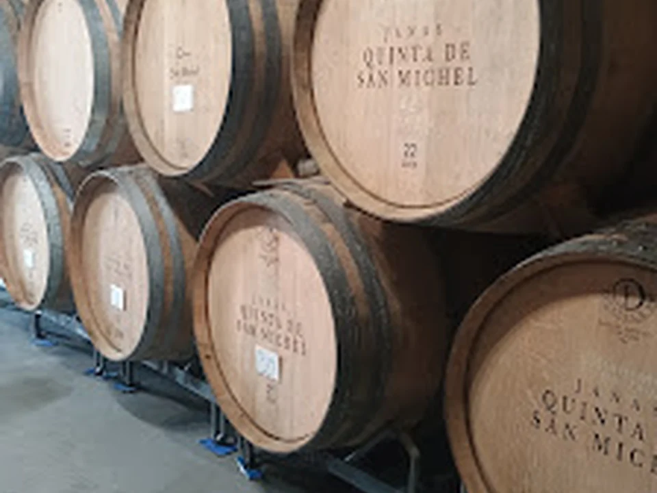 Quinta San Michel, Vinhos de Janas, Malvarinto, Arinto e Malvasia, Lisboa
