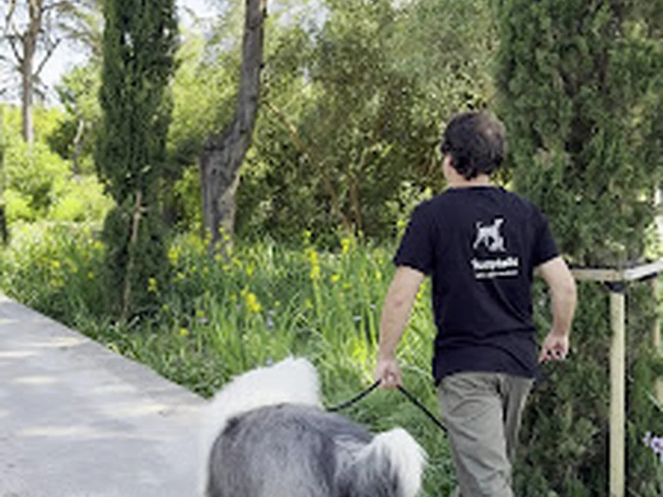Furrytails - Daycare, Estadia, Vet, Spa, Pet Sitting, Loja Online e mais, Lisboa