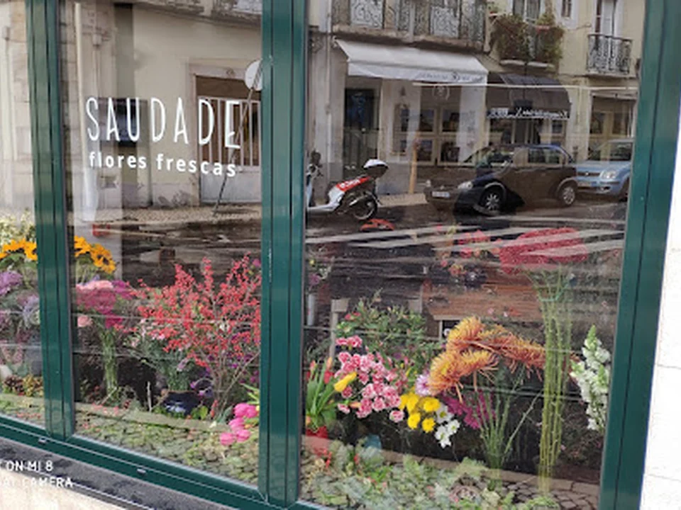 Saudade Flores, Lisboa