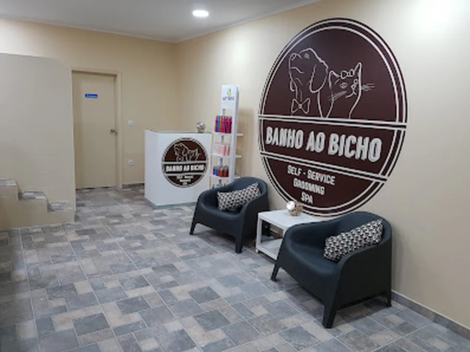 Banho ao Bicho Alvalade, Lisboa