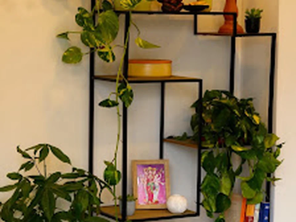 Yoga Kula Studio, Lisboa
