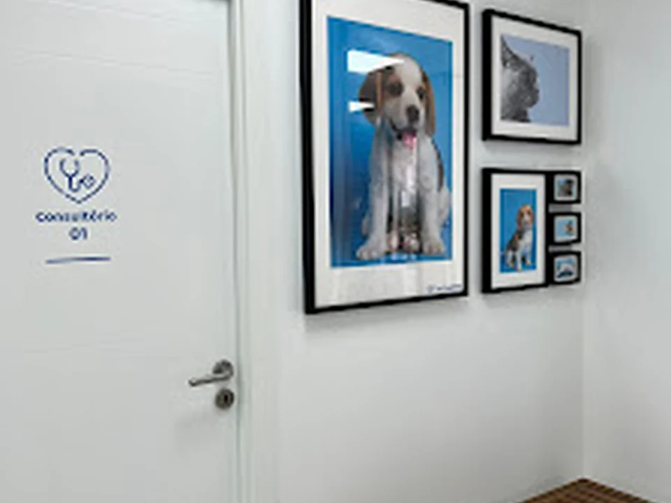Clinica Veterinária Vet América, Lisboa