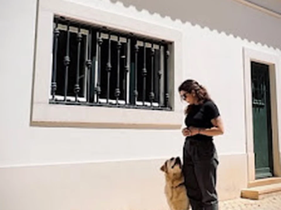 Dog Factor | Comportamento e Bem-estar Animal, Treino Canino, Lisboa