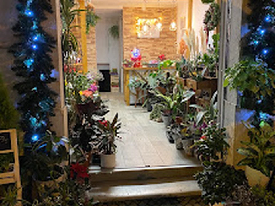 Sk_flower_design, Lisboa