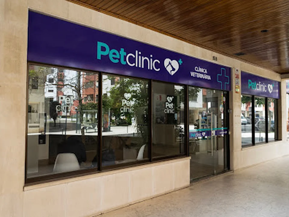 Petclinic, Lisboa