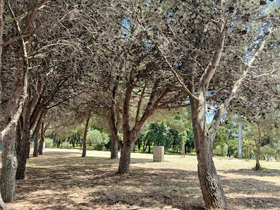 Parque Canino do Parque da Bela Vista, Lisboa