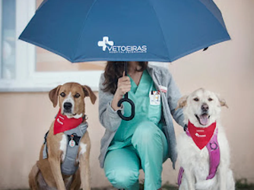 VetOeiras Hospital Veterinário, Lisboa