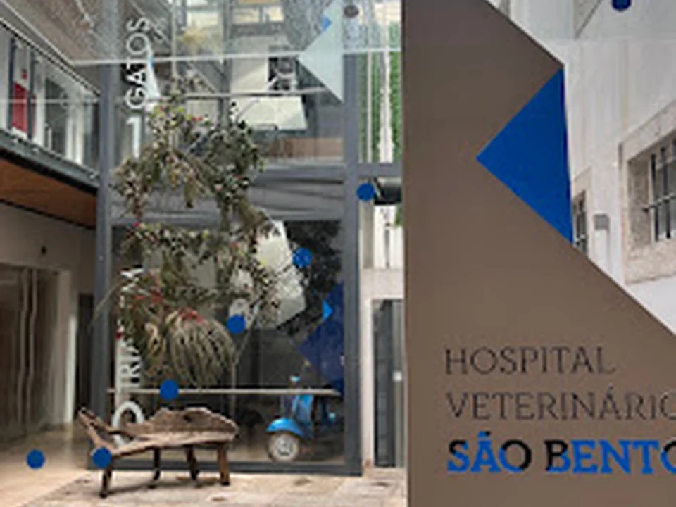 Hospital Veterinário de São Bento, Lisboa