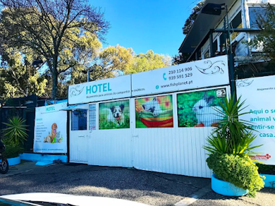 Hotel Monsanto Pet, Lisboa