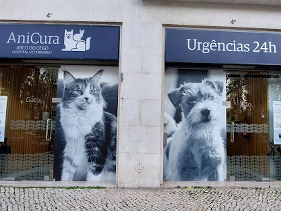 Hospital Veterinário do Arco do Cego, Lisboa